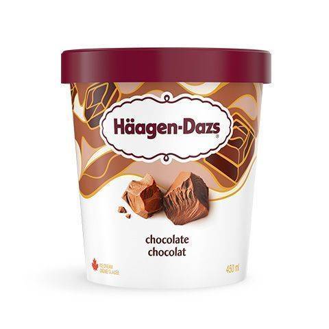 Häagen-Dazs Au Chocolat Chocolate Ice Cream (450 ml)