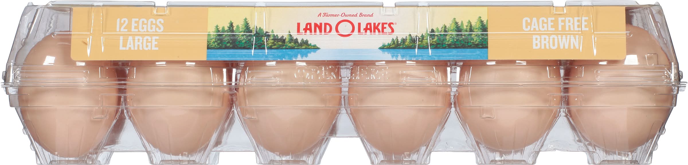 Land O'Lakes Cage Free Large Brown Eggs (24 oz, 12 ct)