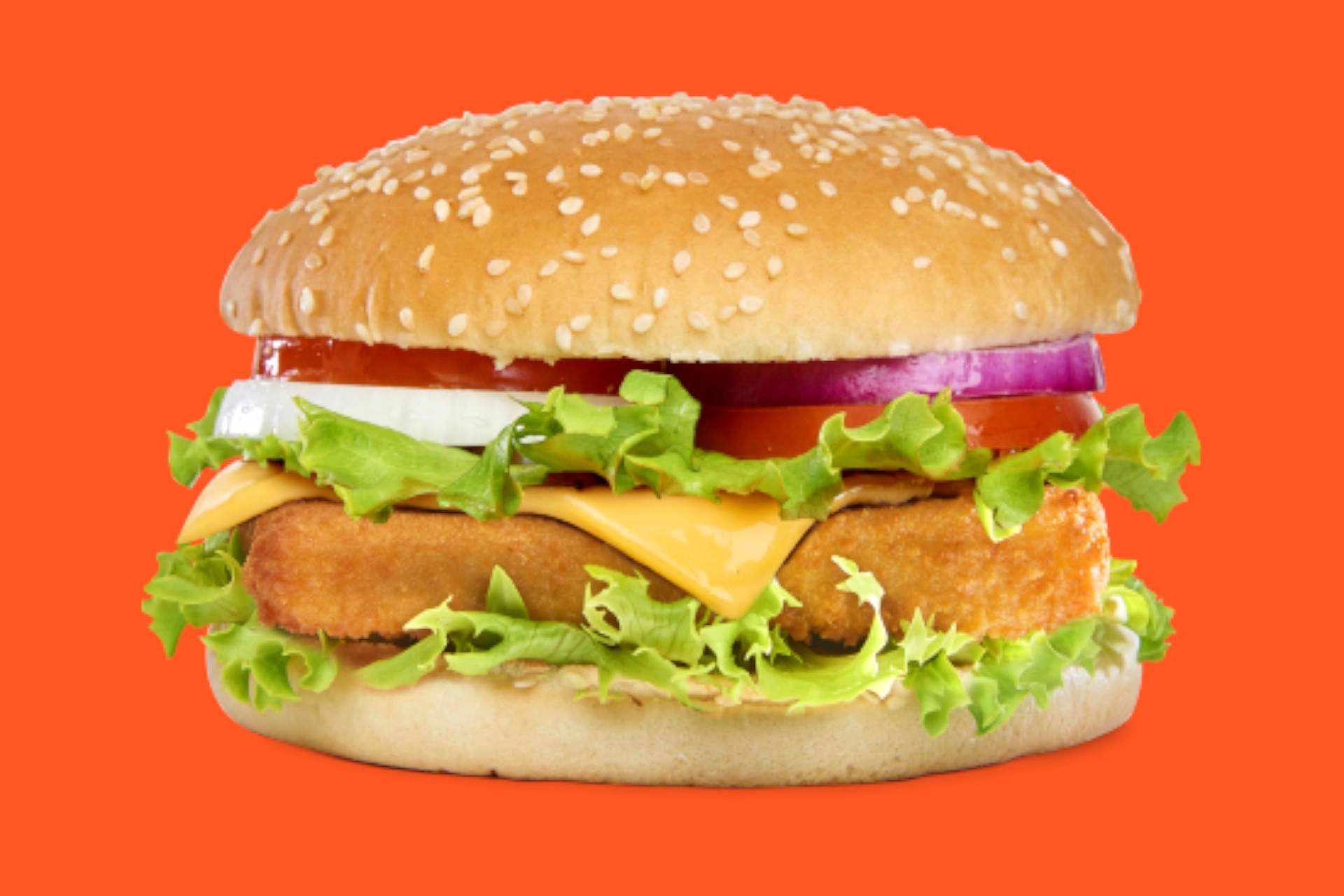 Fish Burger🍔🍔