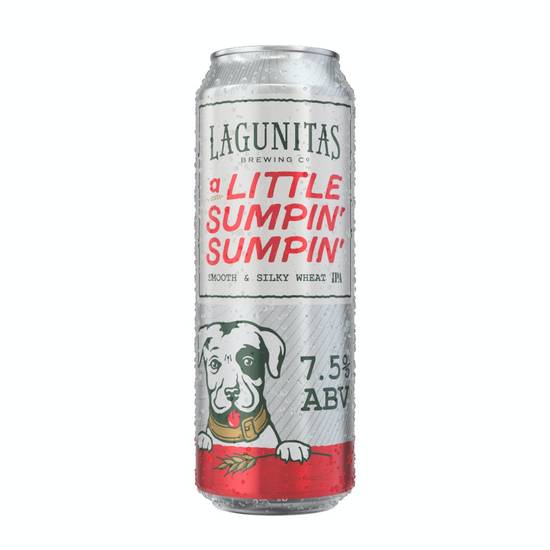 Lagunitas Little Sumpin Ale Beer (19.2 fl oz)