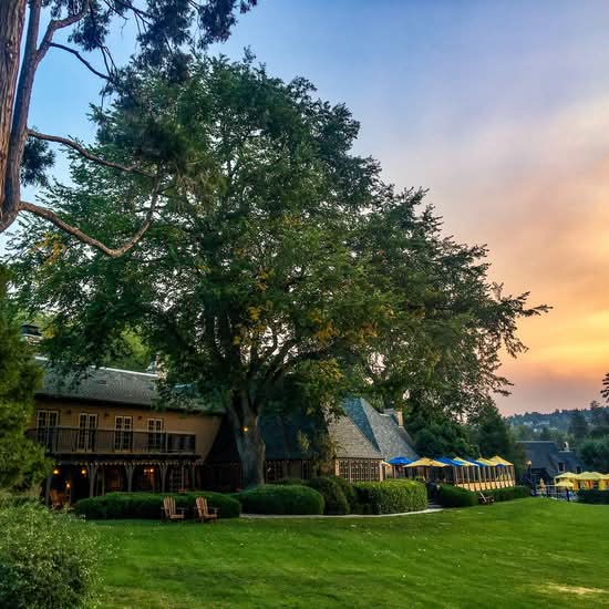 North Shore Tavern