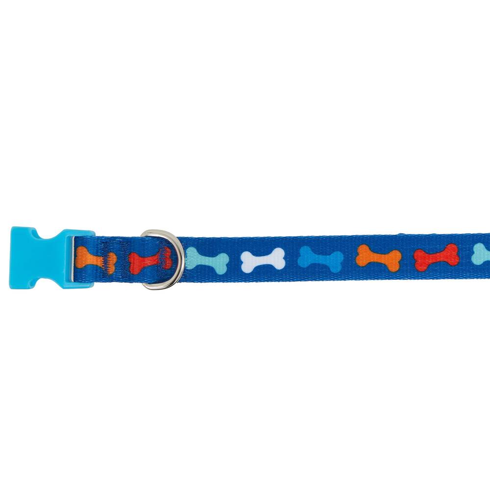 Top Paw® Multi-Color Bone Dog Collar (Color: Blue, Size: 2X Small)