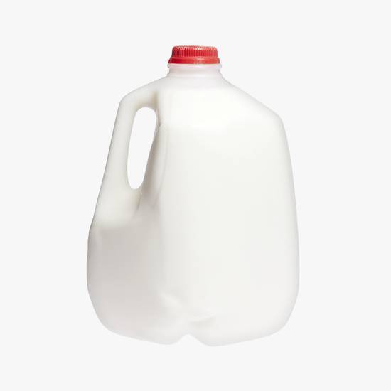 Milk - Gallon