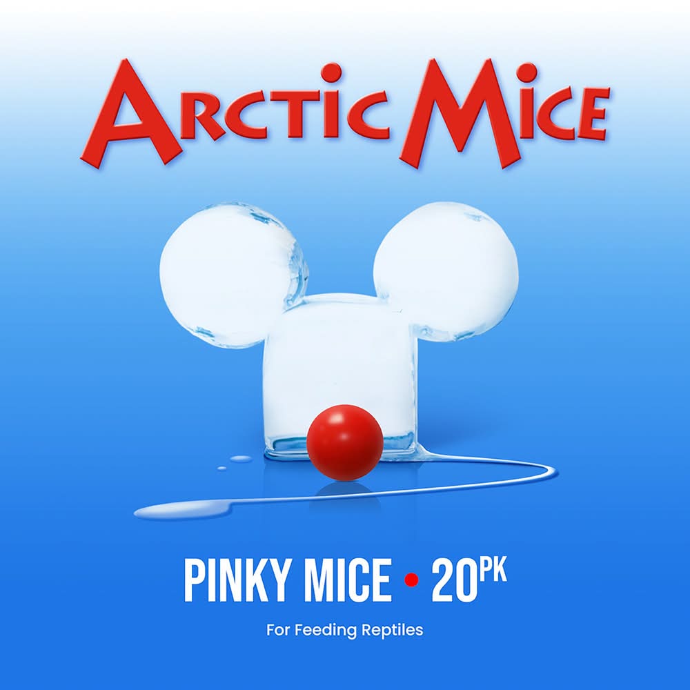 Arctic Mice Frozen Pinky Mice - Snake Food - 1-20 ct