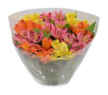 Good Little Garden Rainbow Alstroemeria Bunch Flowers