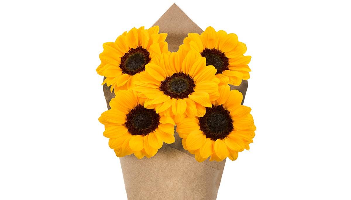 Sunflower Bunch, 5 stem