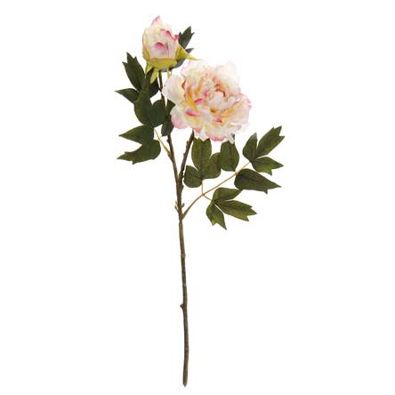 Flor Fina Peony 52cm - Blanco/Rosa