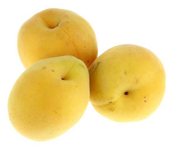 Apricots