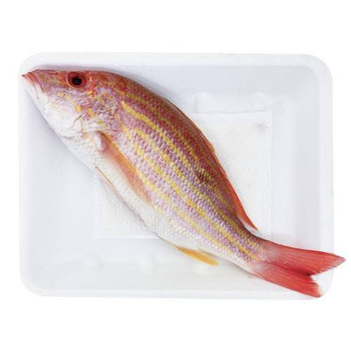 Medium Whole Snapper (approx 1 lb)