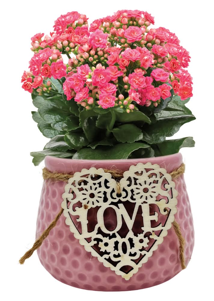 2 Inch Ceramic Bloom