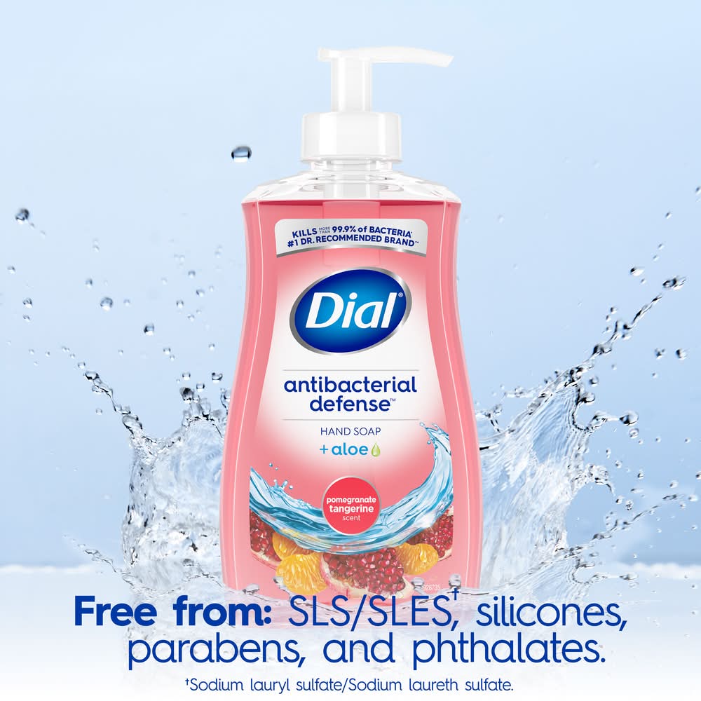 Dial Complete Antibacterial Pomegranate Tangerine Liquid Hand Soap (11 fl oz)