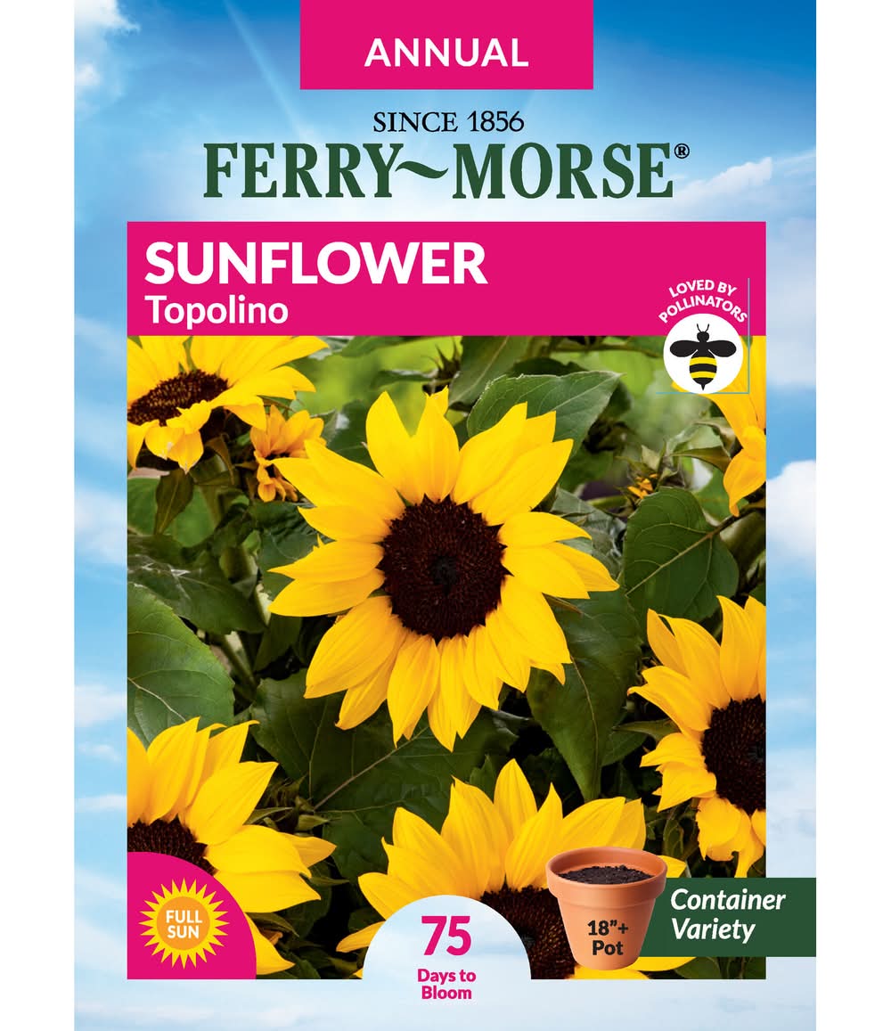 Ferry-Morse A SUNFLOWER TOPOLINO