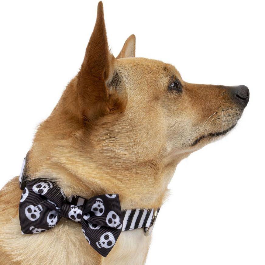 Black White Skull Halloween Bow Tie Collar for Dogs - Size - Medium