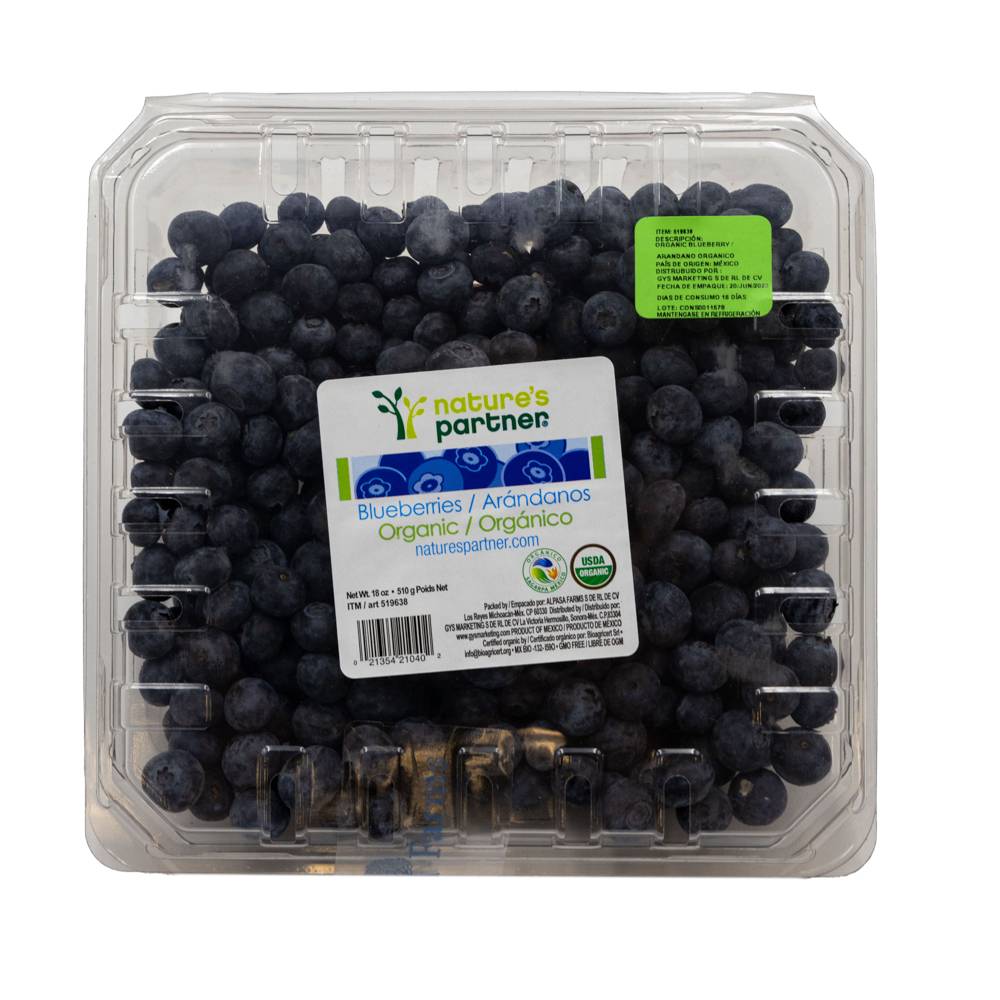 Blueberry orgánica
