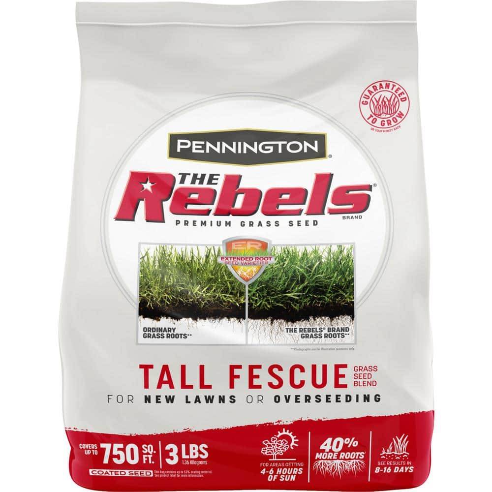 Pennington the Rebels Tall Fescue Grass Seed Blend
