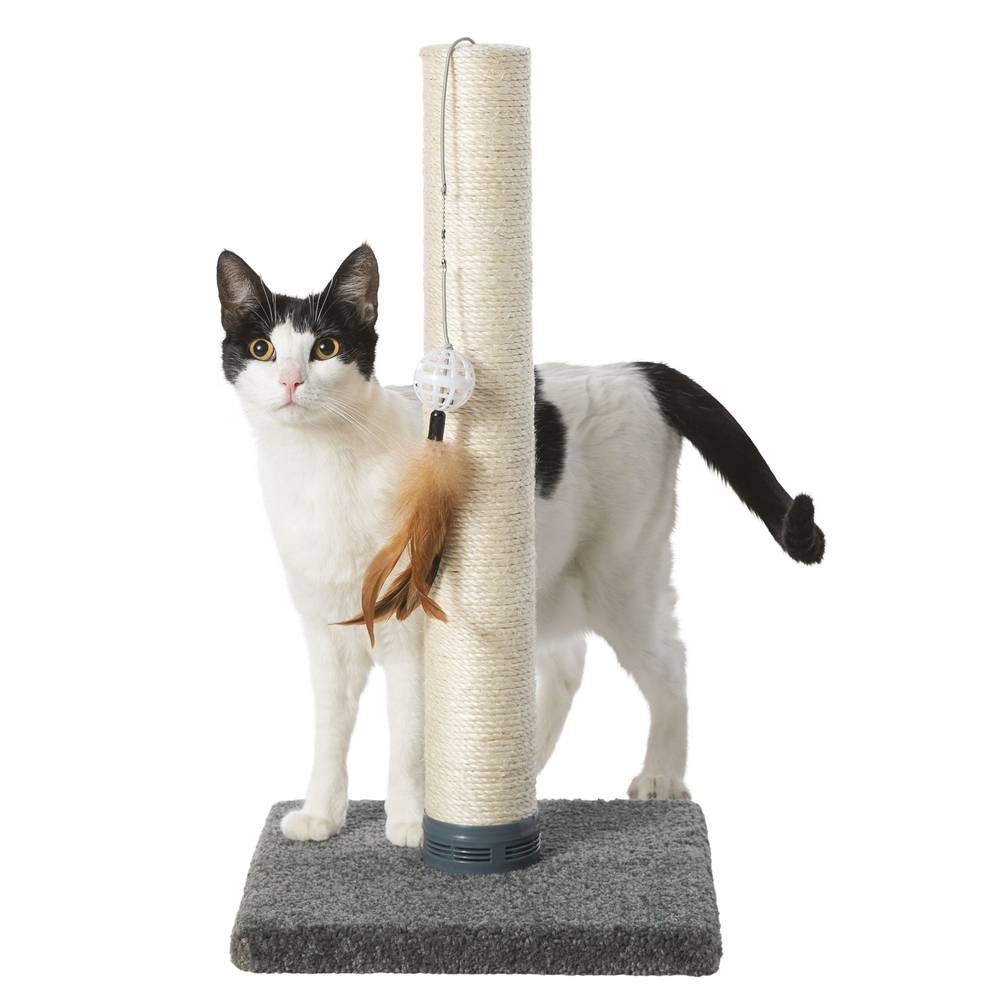 Whisker City Catnip Cat Scratching Post (white)