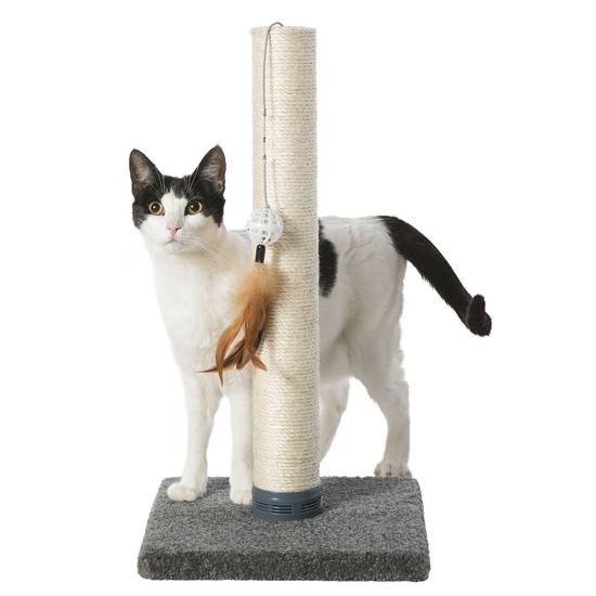 Petsmart Whisker City Catnip Cat Scratching Post
