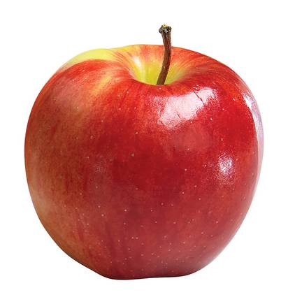 Ambrosia Apple