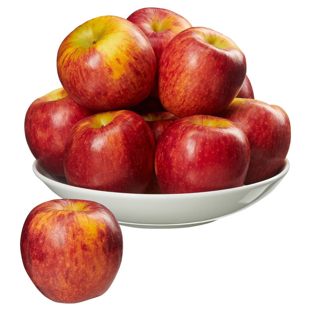 Envy Apples, 4 lbs