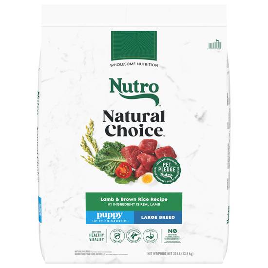 Nutro Wholesome Essentials Puppy Large Breed Natural Lamb & Rice Recipe Dry Food (30 lbs)