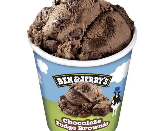Ben & Jerry’s Choc Fudge Brownie Ice Cream 458ml