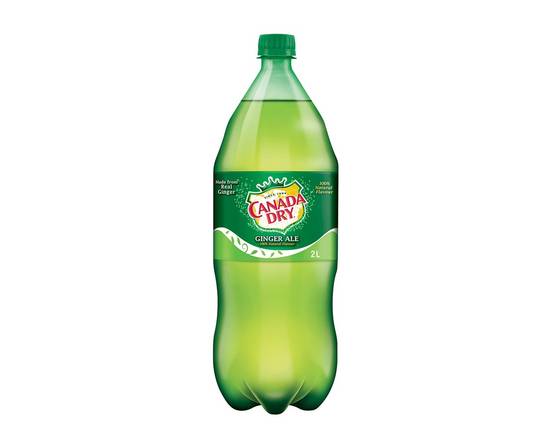 Bottle Ginger Ale (2L)