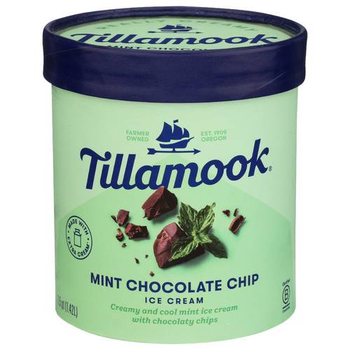 Tillamook Mint Chocolate Chip Ice Cream