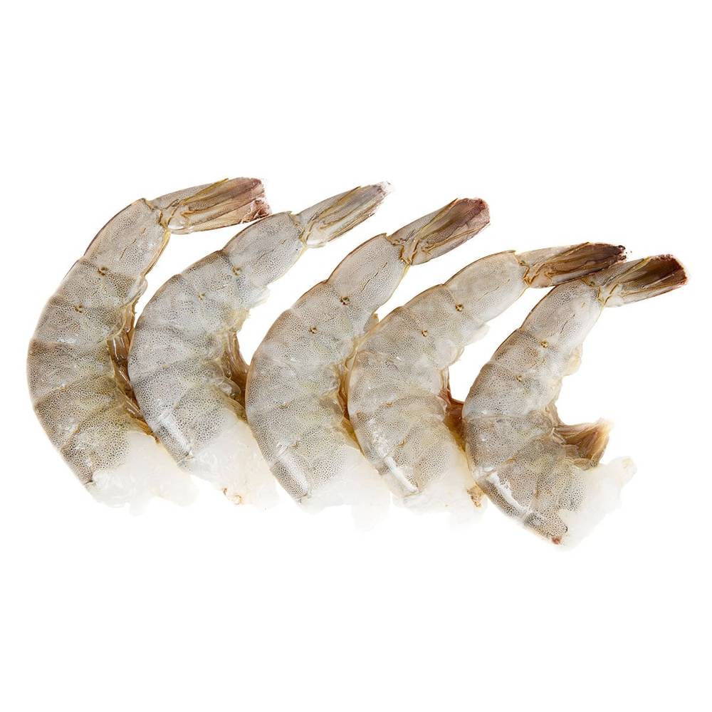 16/20 crevettes d'élevage préalablement congelées  - 16/20 shrimp previously frozen farmed