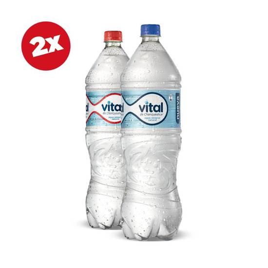 2 x Agua Vital Pet 1,6 L variedades