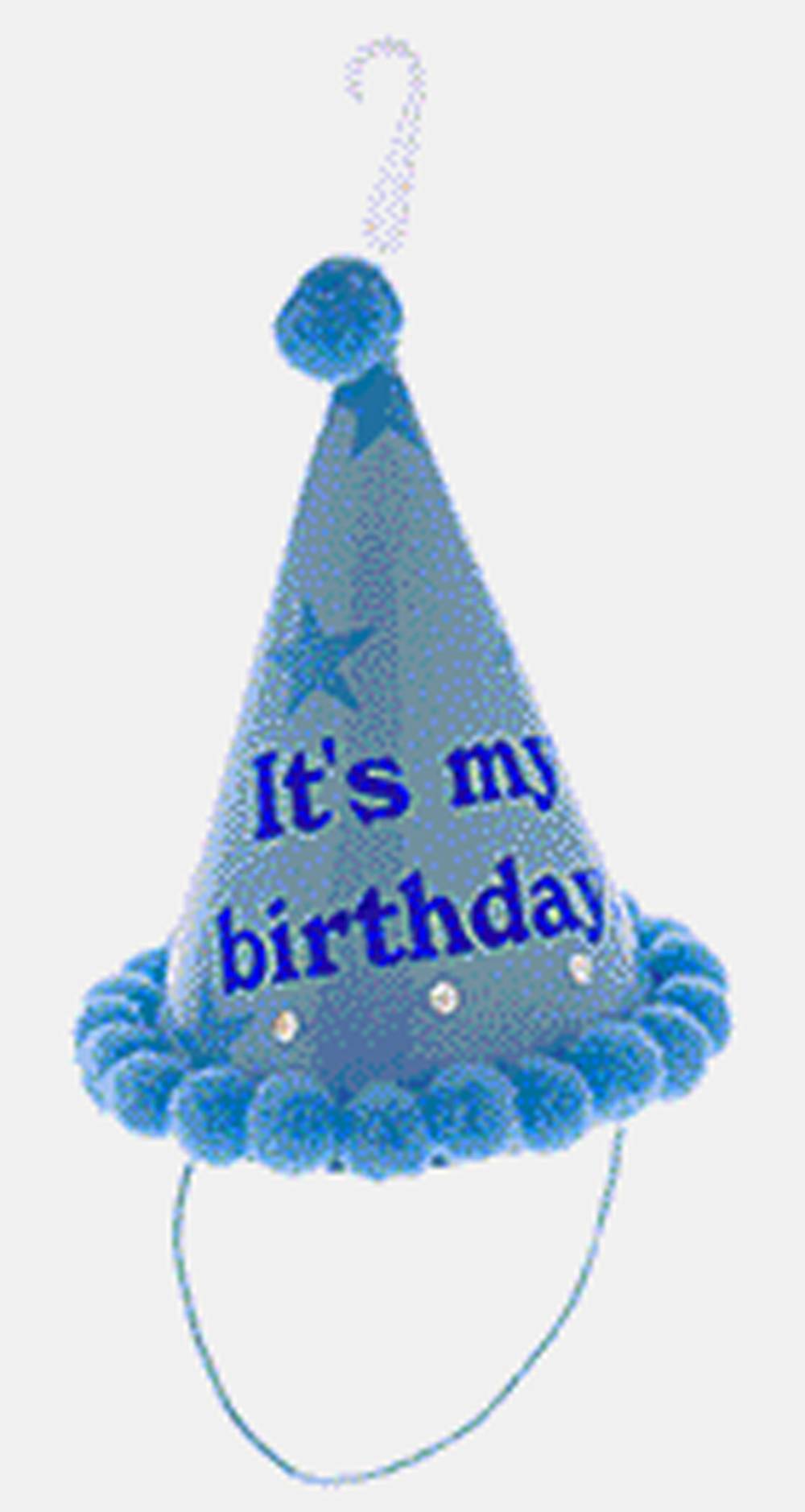 Dollarama Birthday Hat With Pom Poms