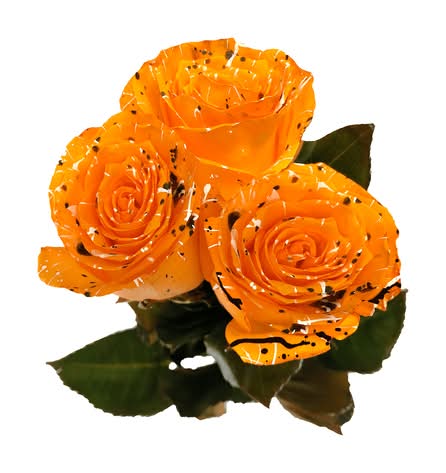 Air Brushed Roses (3 ct)