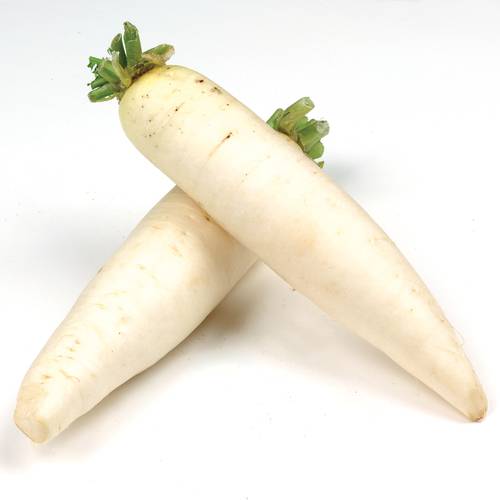 Lo Bok Daikon Radish 1 Count