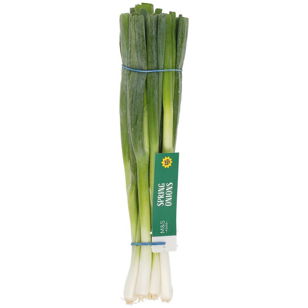 M&S Salad Onions (1 per pack)