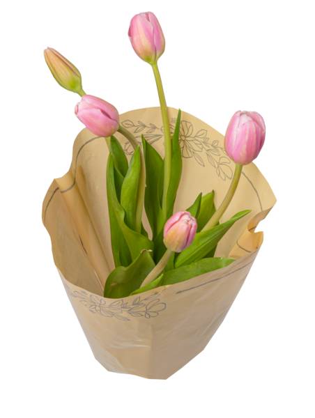 Floral boutique bouquet tulipán