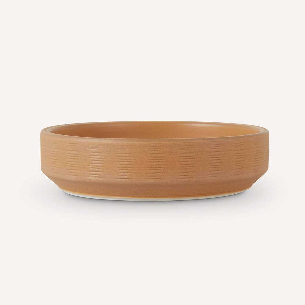Nate & Jeremiah Modern Feeding Bowl - Small Pet & Reptile (Color: Assorted)