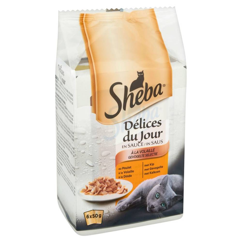 Sheba Délices du Jour Sachets Fraîcheur Volaille en Sauce 6 x 50 g