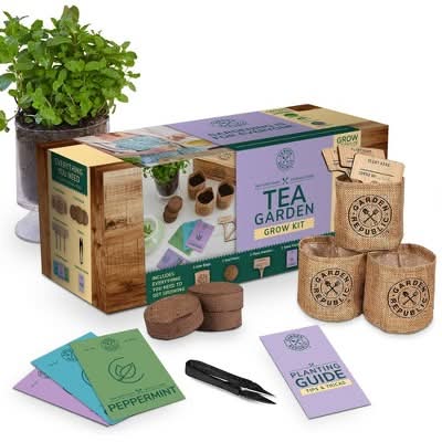 Garden Republic Herbal Tea Plant Grow Starter Kit