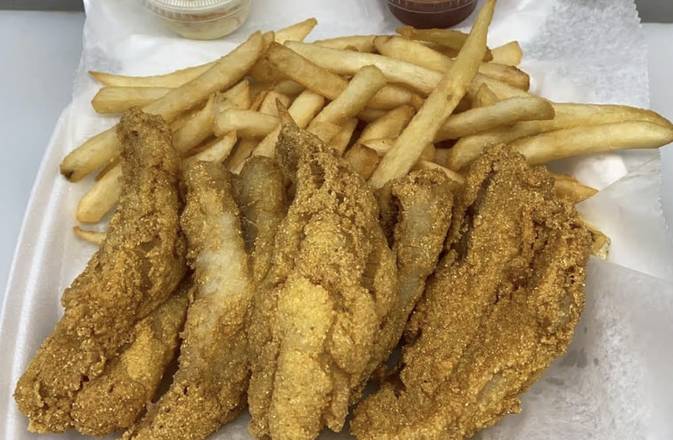 Ocean Perch