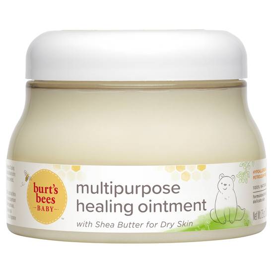 Burt's Bees Dry Skin Multipurpose Healing Ointment