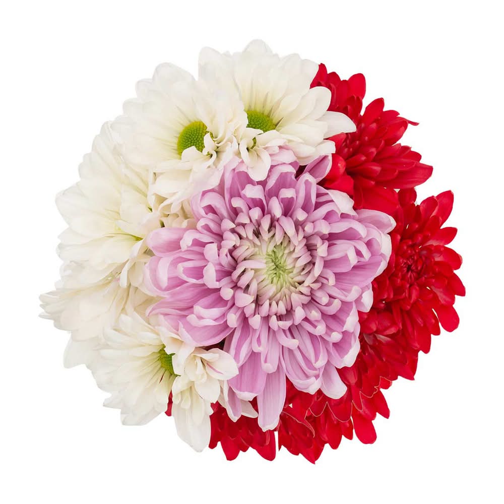 Valentine'S Day Fresh Flowers Small Bouquet Assorted