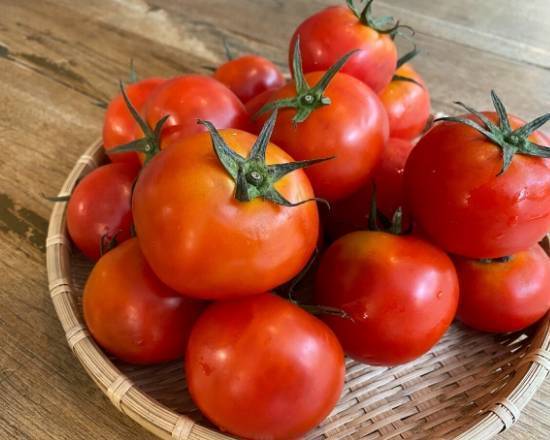 有機大番茄 Organic Tomato
