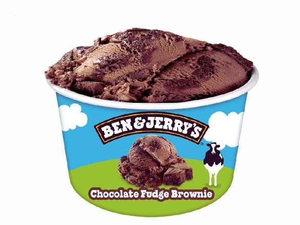 Ben & Jerry’s Chocolate Fudge Brownie Ice Cream Tub