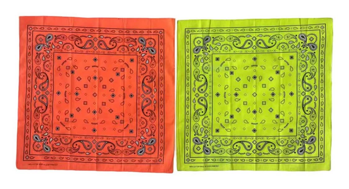 Mission Ridge Bandana With Fluorescent Paisley Print 2 Ct - Assorted