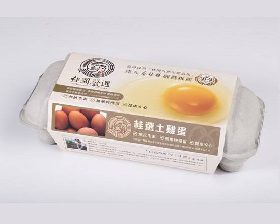 桂園 褐殼雞蛋10入(冷藏)^301421029
