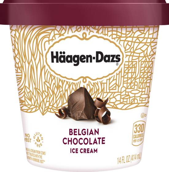 Häagen-Dazs Belgian Chocolate Ice Cream