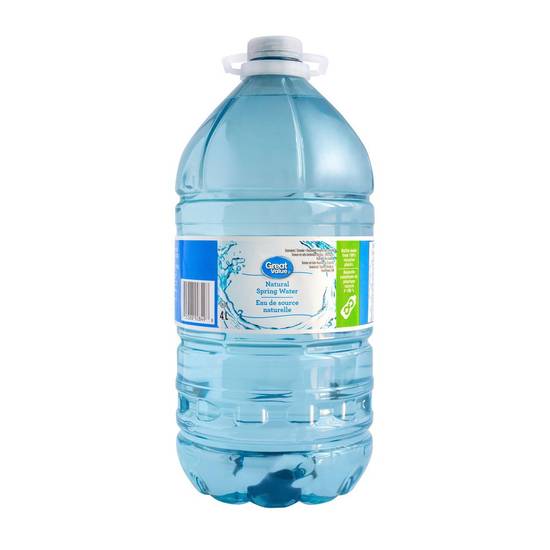Great Value Natural Spring Water (4 L)