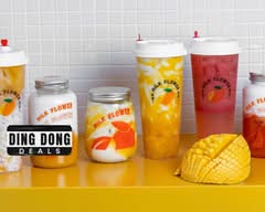 Milk Flower (Karrinyup)