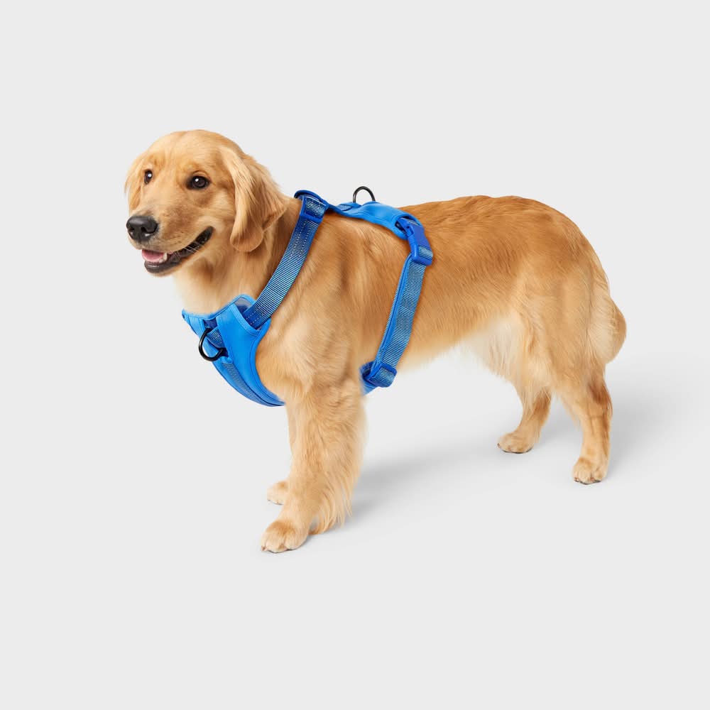 Boots & Barkley Reflective Adjustable & Reinforced Stitching Comfort Dog Harness, M , Blue