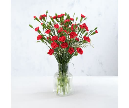 Co-op Festive Carnations Bouquet