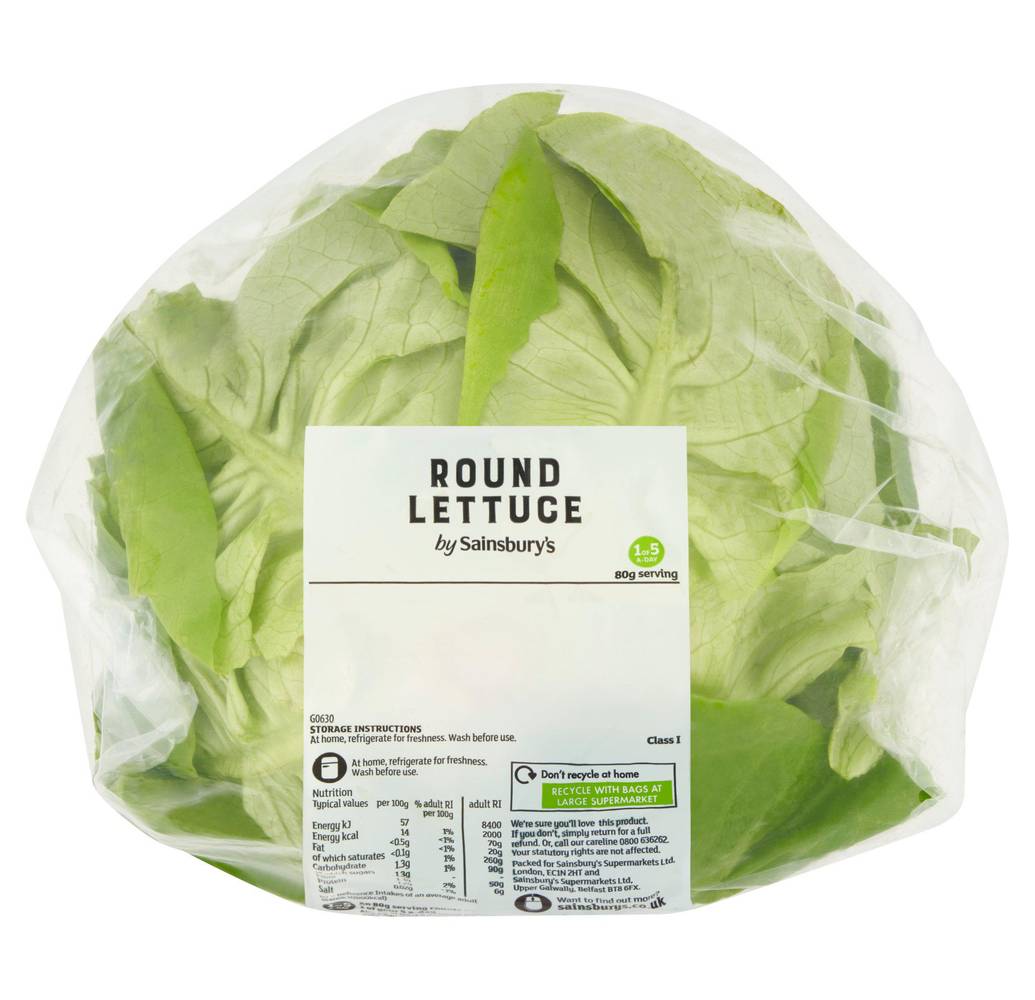 Sainsbury's Lettuce, Round